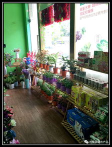 丹櫻高端農產品專賣店 引領新零售模式，重塑食用農產品消費體驗