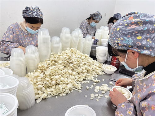 蘭州百合 零售端走俏，種植端承壓——食用農產品零售市場調查