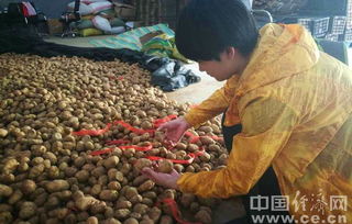 O2O助力農(nóng)產(chǎn)品上行 智慧零售打造長效扶貧